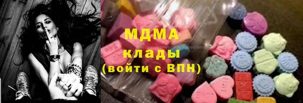 хмурый Арсеньев