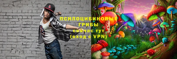 хмурый Арсеньев