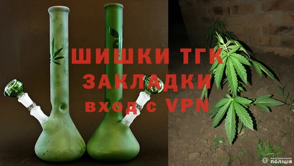 хмурый Арсеньев