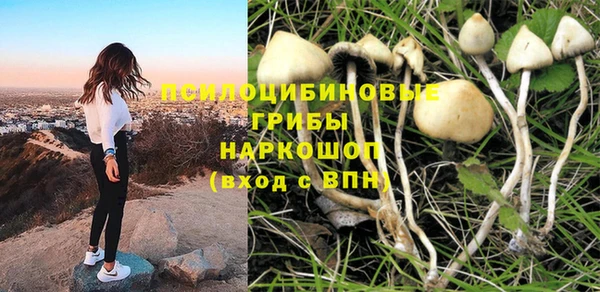 хмурый Арсеньев