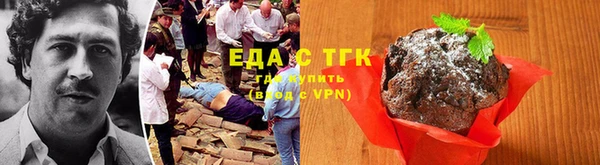 хмурый Арсеньев